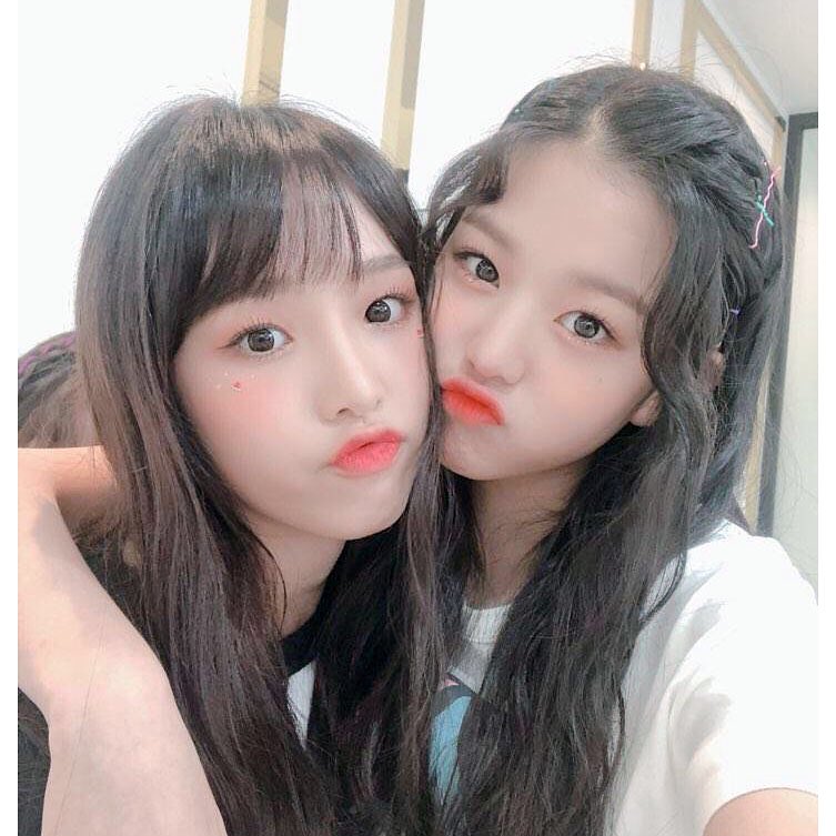 셀카 4장으로 보는 장원영 최예나 성장기 체험 | 인스티즈