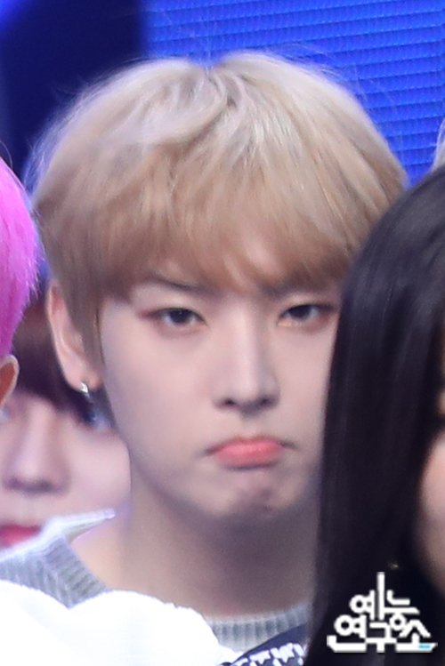 고양이 소리 내바 | 인스티즈