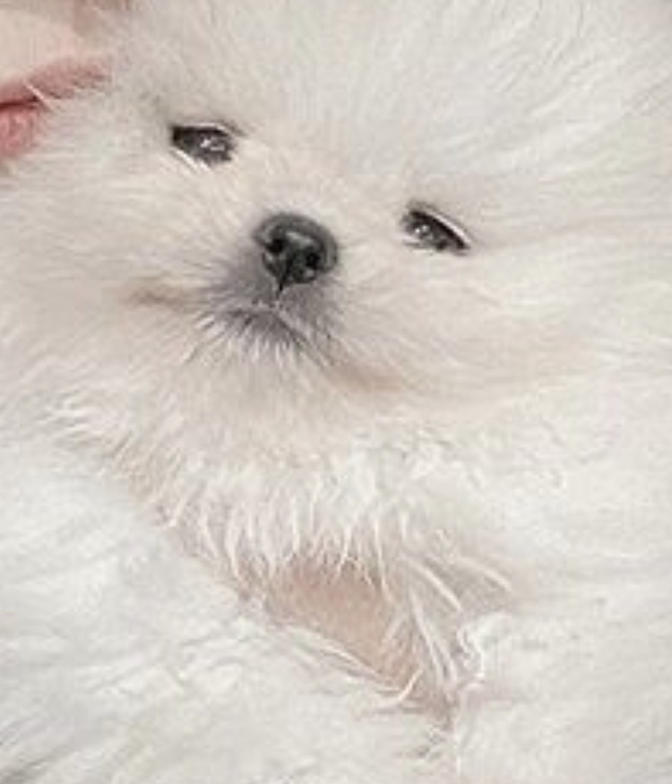 너 이름이 머냐고 | 인스티즈