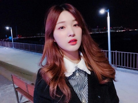 🌲소나무 취향 | 인스티즈