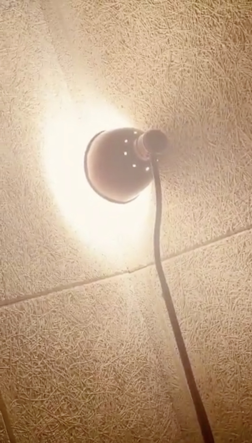 한승우 인스타 스토리 올라온거 복붙아니냐 ㄹㅇ ㅋㅋㅋㅋㅋㅋㅋ | 인스티즈