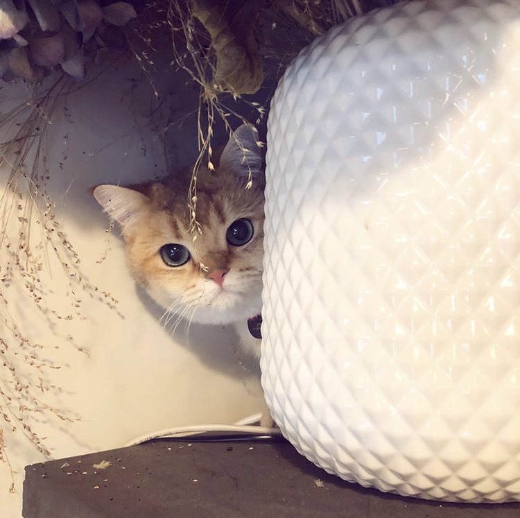 뭐가 김우석이야? | 인스티즈