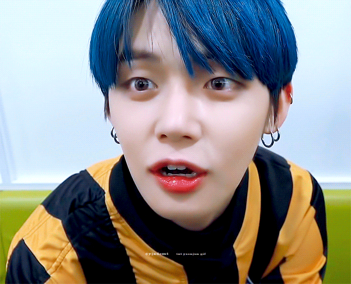 각자 본진 고앵이 자랑하고 가 | 인스티즈