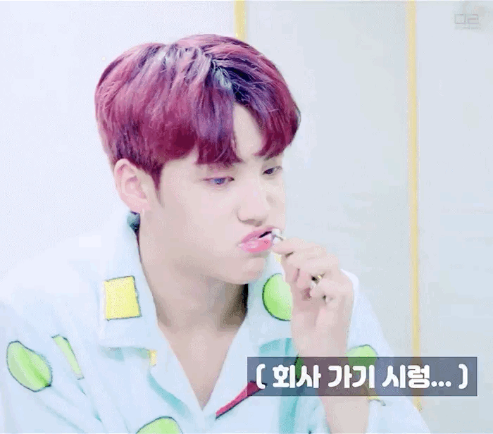 각 그룹 댕댕이들 보여조 | 인스티즈