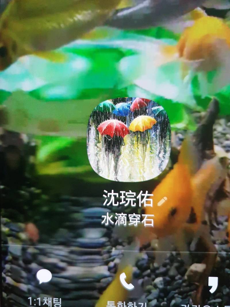 이거한자 어떻게 읽엉?? | 인스티즈