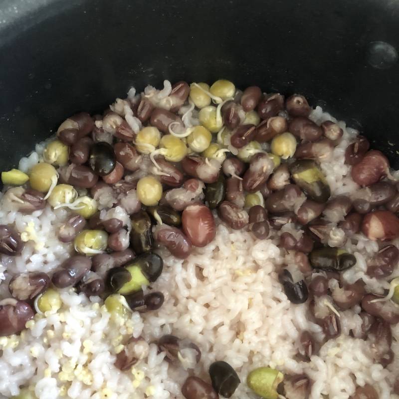 잡곡밥을 했는데 밥솥안에서 싹이 났음; 먹어도 돼??? ㅋㅋㅋㅋㅋㅋㅋㅋㅋ | 인스티즈