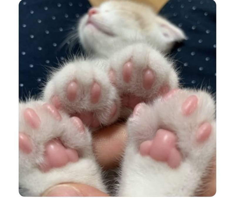 와 이거 진짜 미쳤다ㅠㅠㅠ | 인스티즈