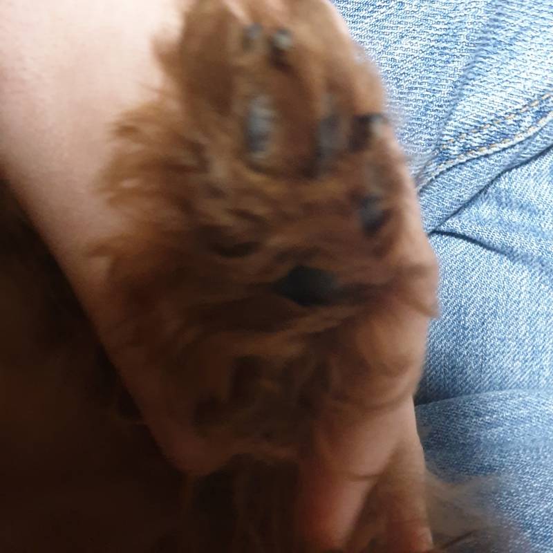 익들이 부러워 할만한 고 잇지롱 | 인스티즈