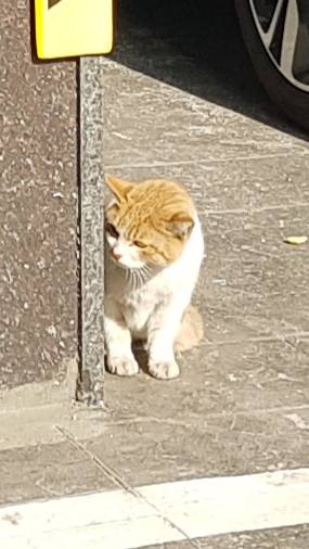 얘네 기싸움 쩔어 | 인스티즈