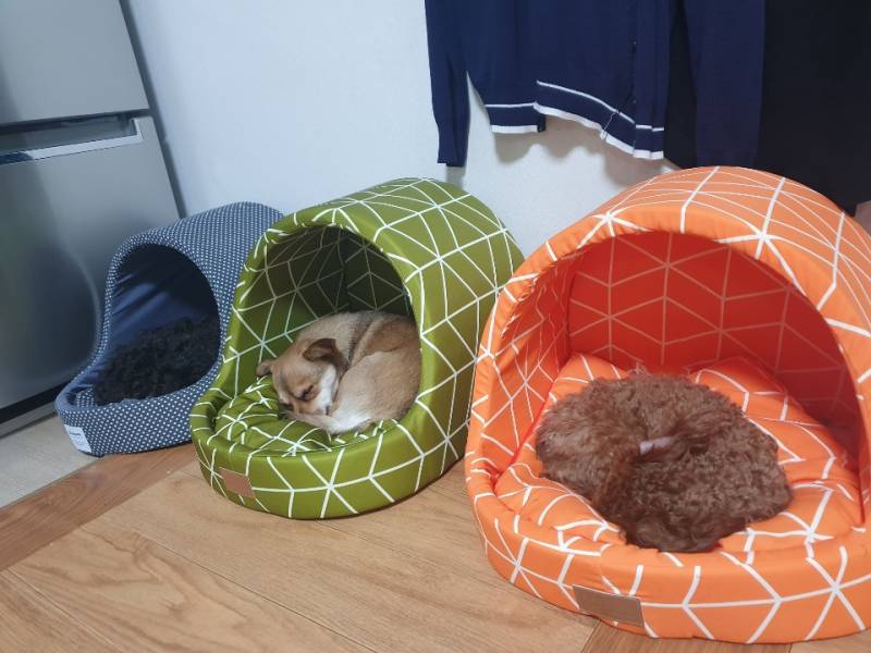 젤 큰 애가 제일 작은데 들어가 있고 작은 애가 큰 데 들어가있는데 왜,,, | 인스티즈