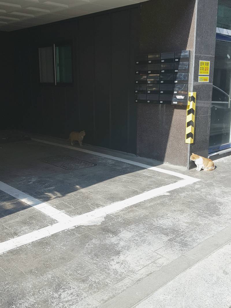 얘네 기싸움 쩔어 | 인스티즈