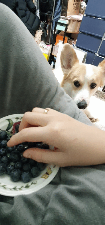 부담스러워 죽겠네...누가 살려죠 | 인스티즈