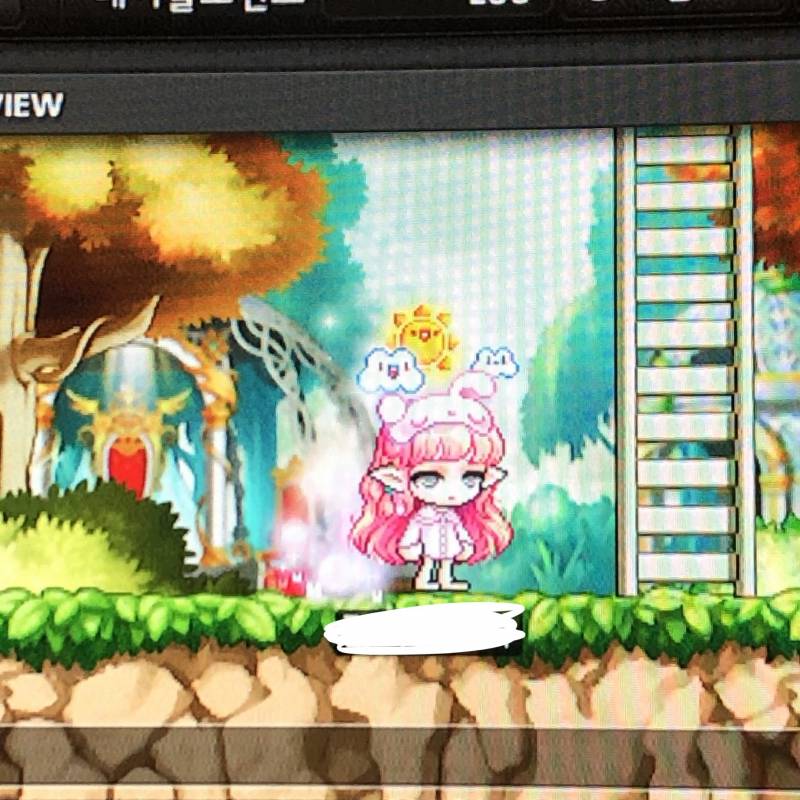 골라조 | 인스티즈