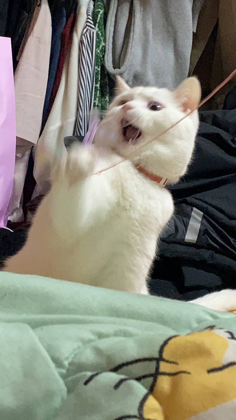 오늘 방구꼈는데 진짜 다 내 엉덩이봄 | 인스티즈