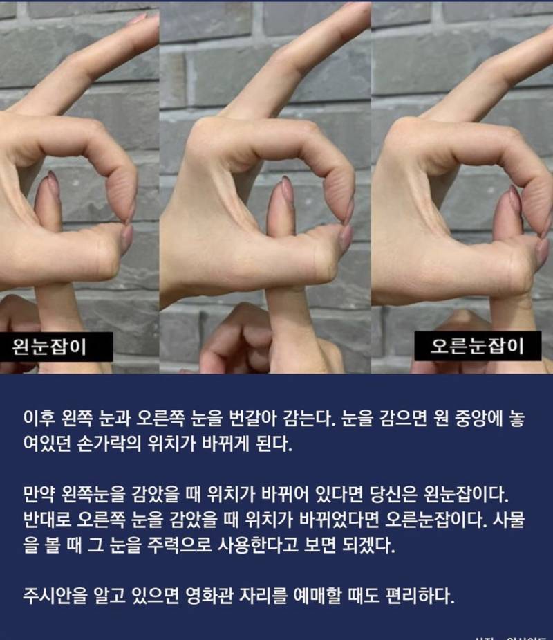 익들 어느 눈잡이니 | 인스티즈