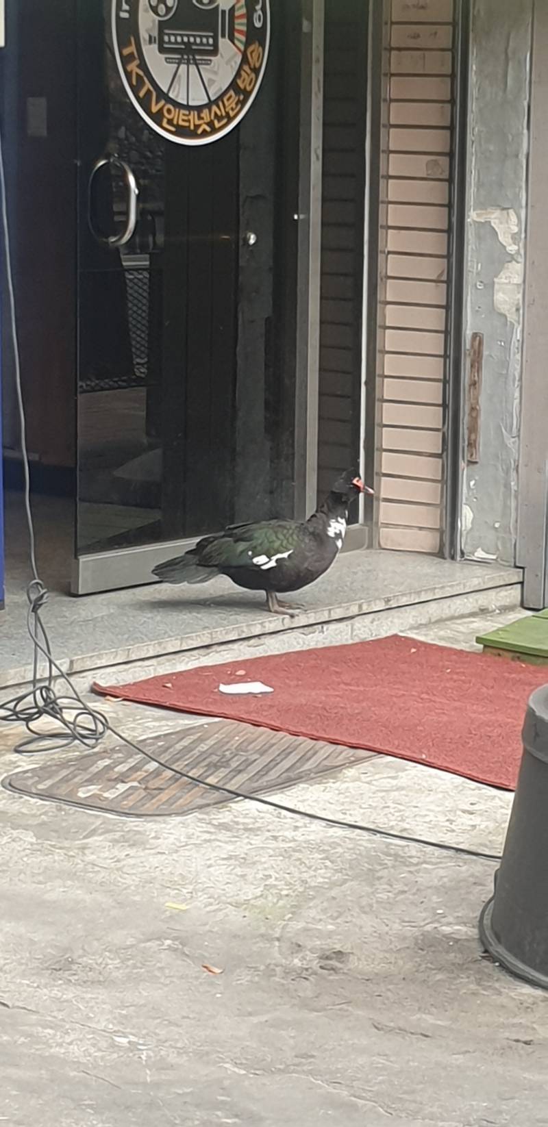 이거 신고 어디해야 돼? | 인스티즈