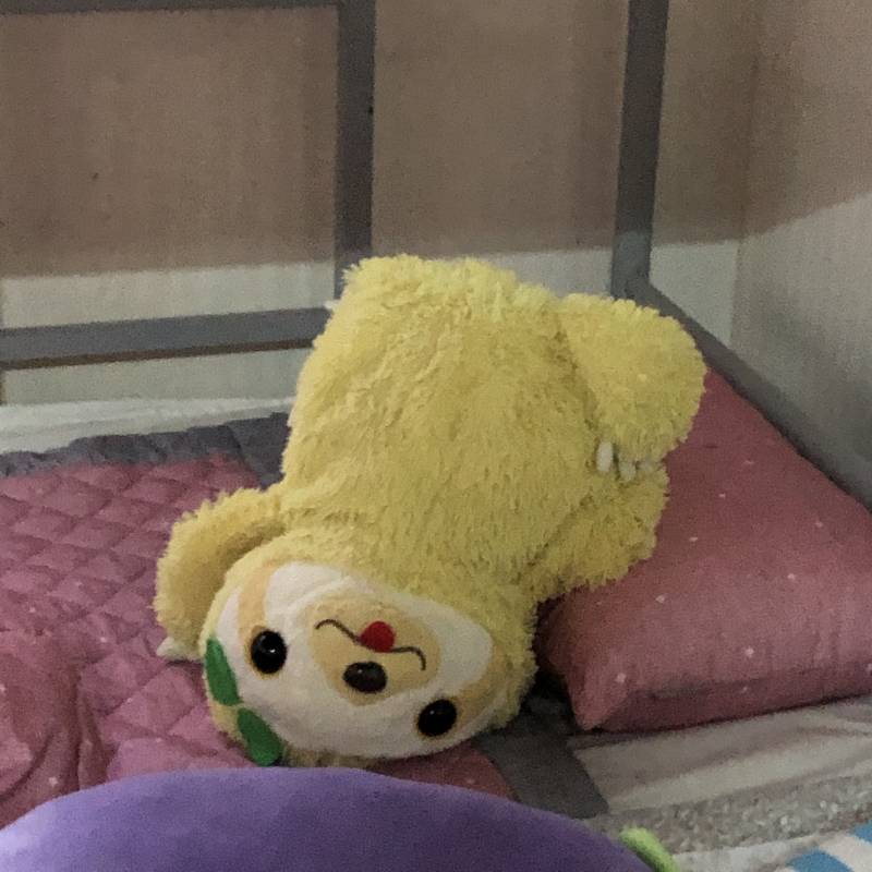 다들 애착인형 하나씩 가지고있나 혹쉬 ? | 인스티즈