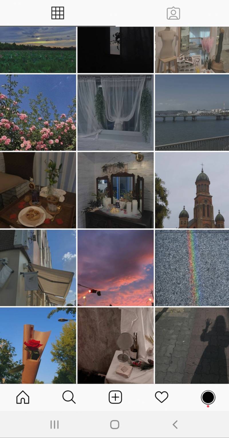 내 인스타 피드 너무 뒤죽박죽같아? | 인스티즈