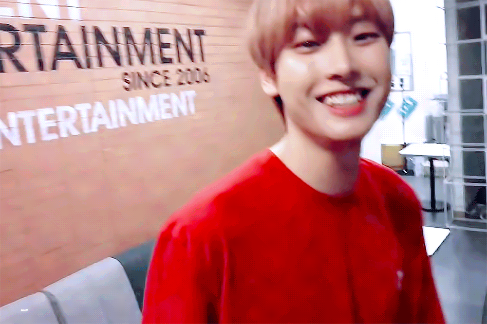 요즘 우리 아기고양이 살 너무 마니 빠져서 슬퍼 | 인스티즈