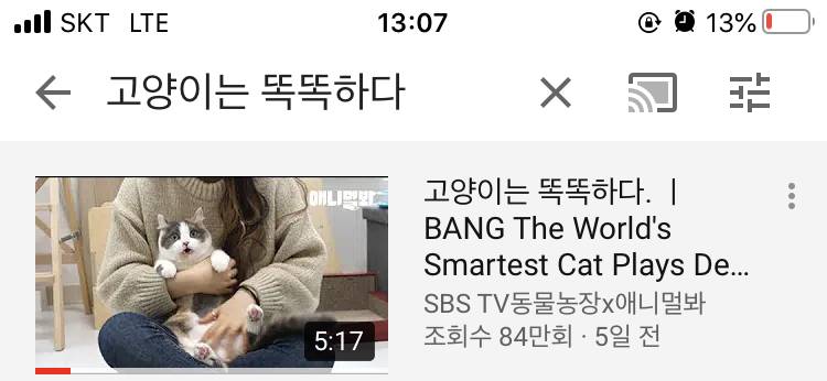 고양이 좋아하는 익들 있니 유투브 썸네일이 너무 귀여워서... | 인스티즈