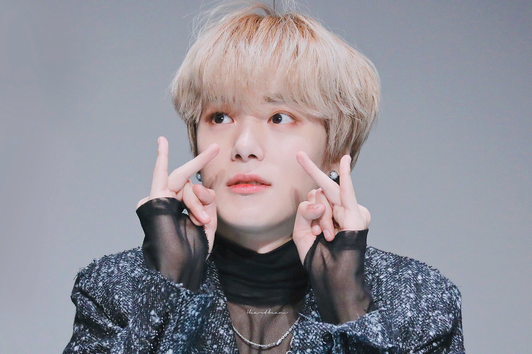 그럼 내 최애는 말티쥬같아 셰퍼드같아?? | 인스티즈