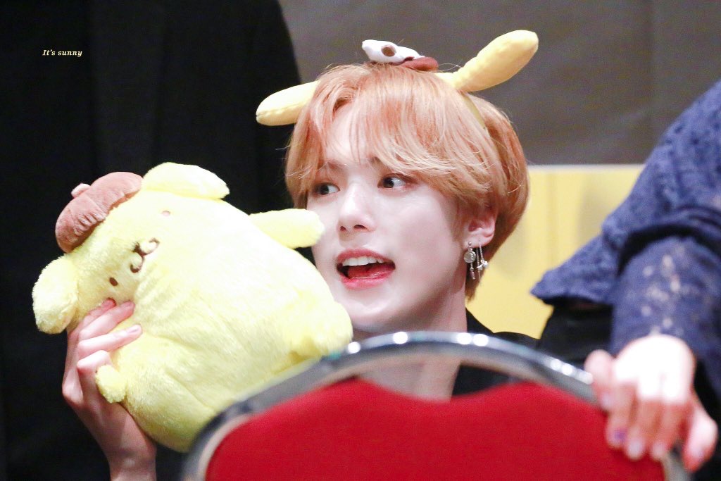 그럼 내 최애는 말티쥬같아 셰퍼드같아?? | 인스티즈