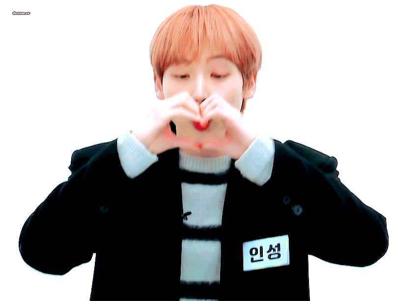 김인성 찐아기고양이 시절 영상 | 인스티즈