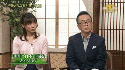 무조건 힐링되는 댕냥이짤털 | 인스티즈