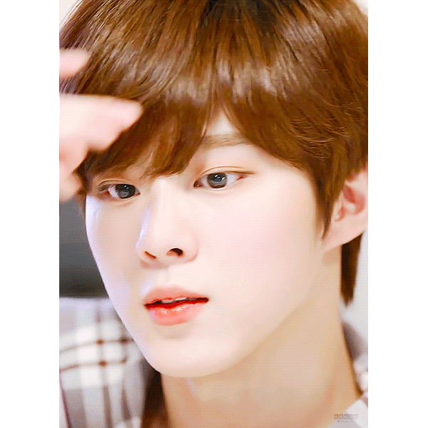 사람이면 아기고영이 괴롭히지맙시다 네? | 인스티즈