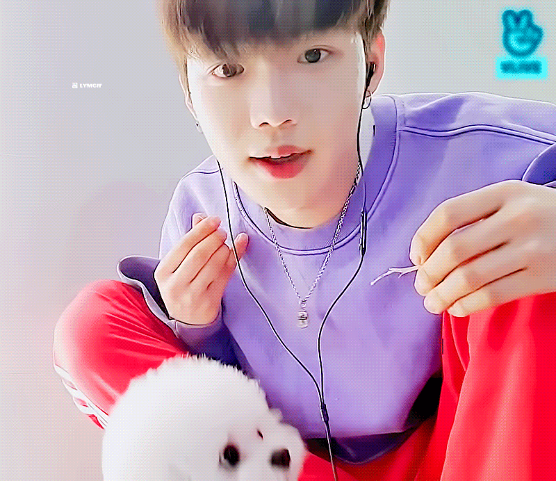 이 강아지 진짜 귀엽지(실제 멍멍 강아지임 모에화 X) | 인스티즈