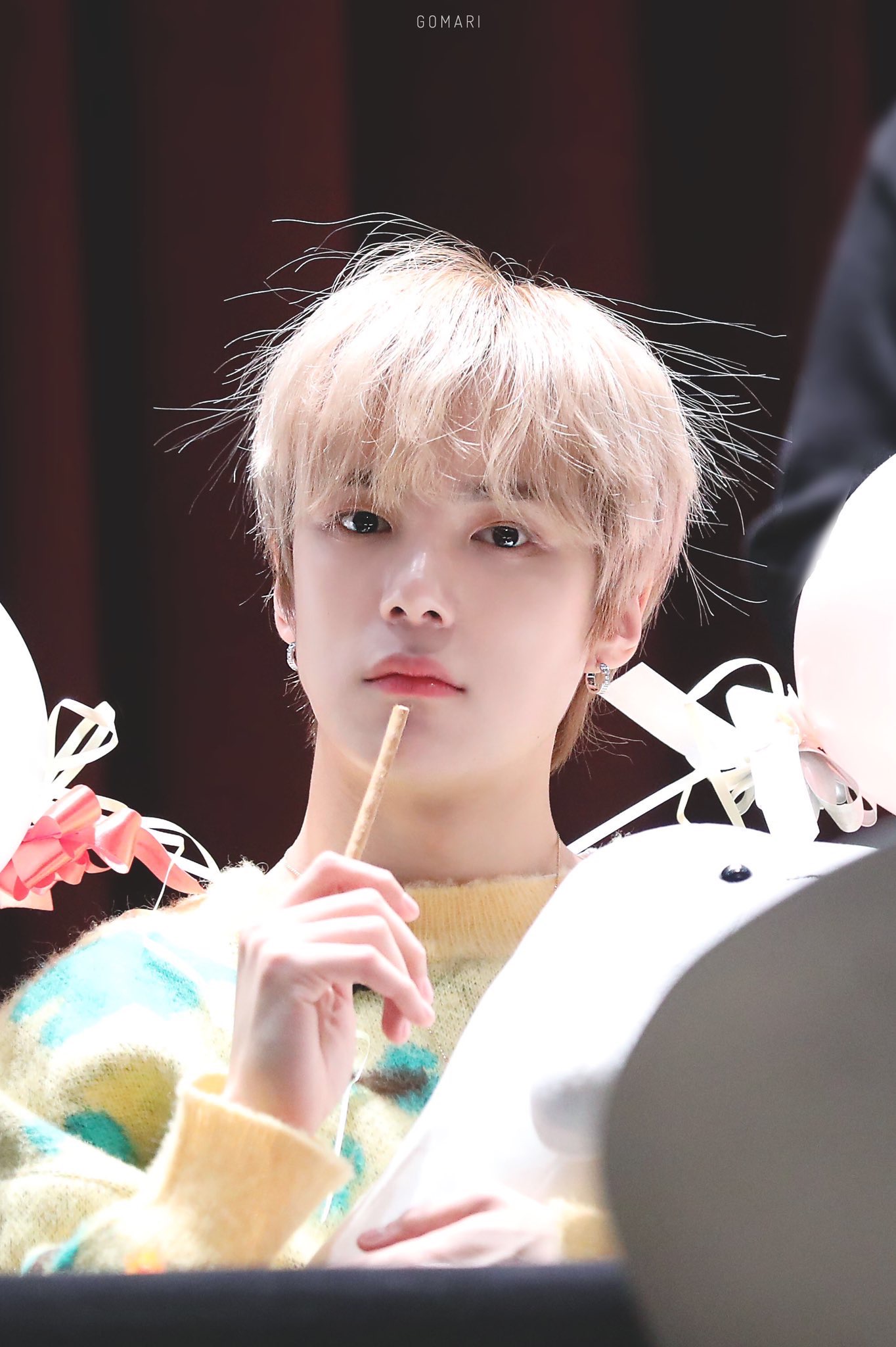 그럼 내 최애는 말티쥬같아 셰퍼드같아?? | 인스티즈