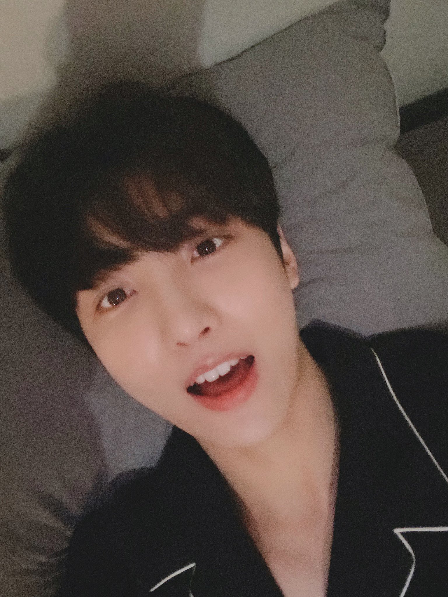 내본진 토끼도 봐줘라 | 인스티즈