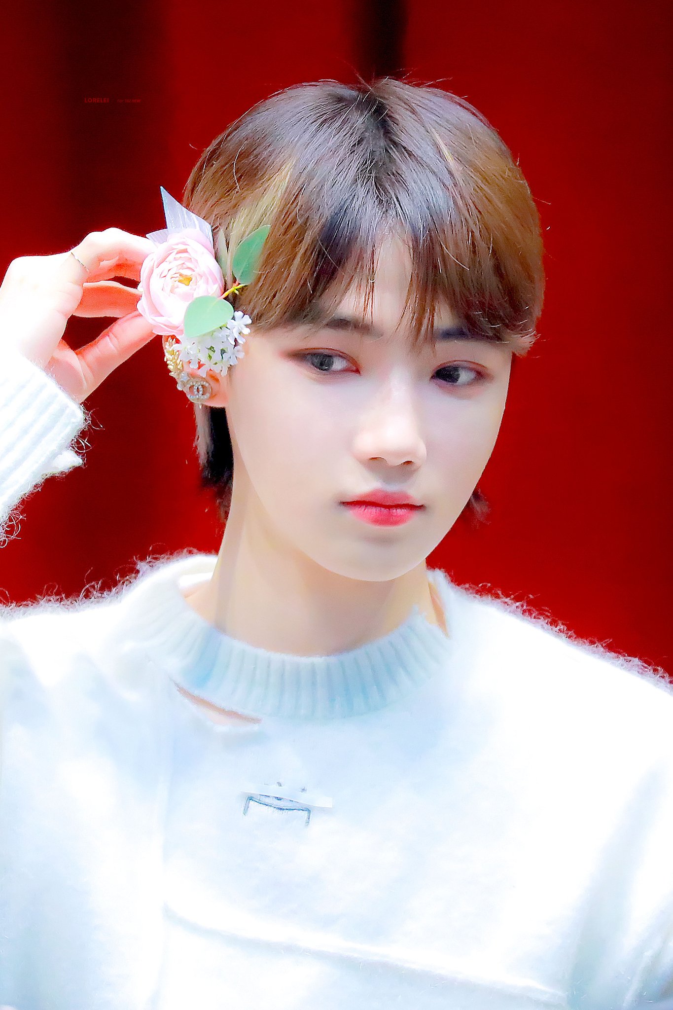 우리 애가 너무 예뻐 ㅠ ㅠ ㅠ ㅠ | 인스티즈