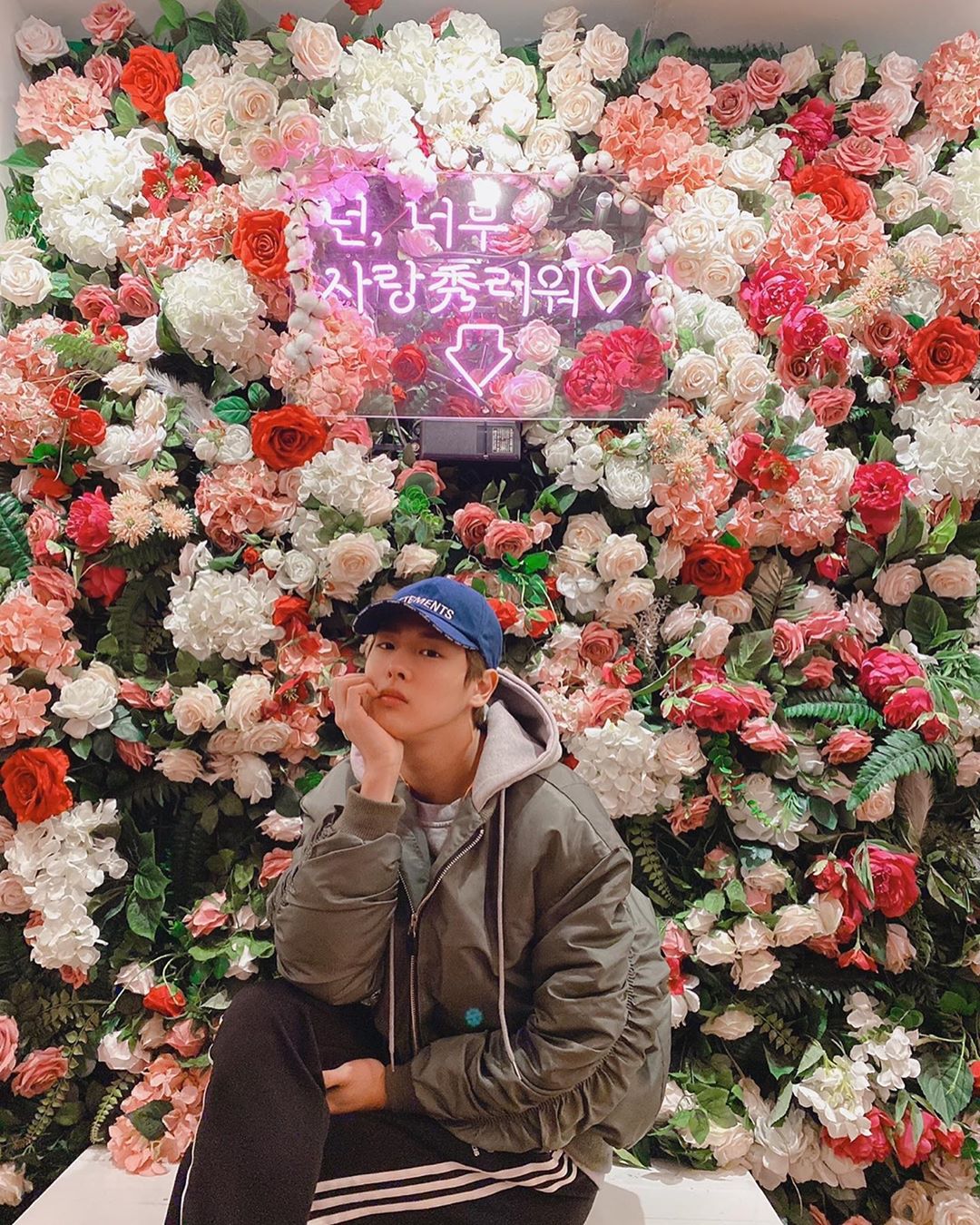 우리 병찬이 이제 풍경사진도 올릴줄 아는 아주 멋진강아지가 됐어 | 인스티즈