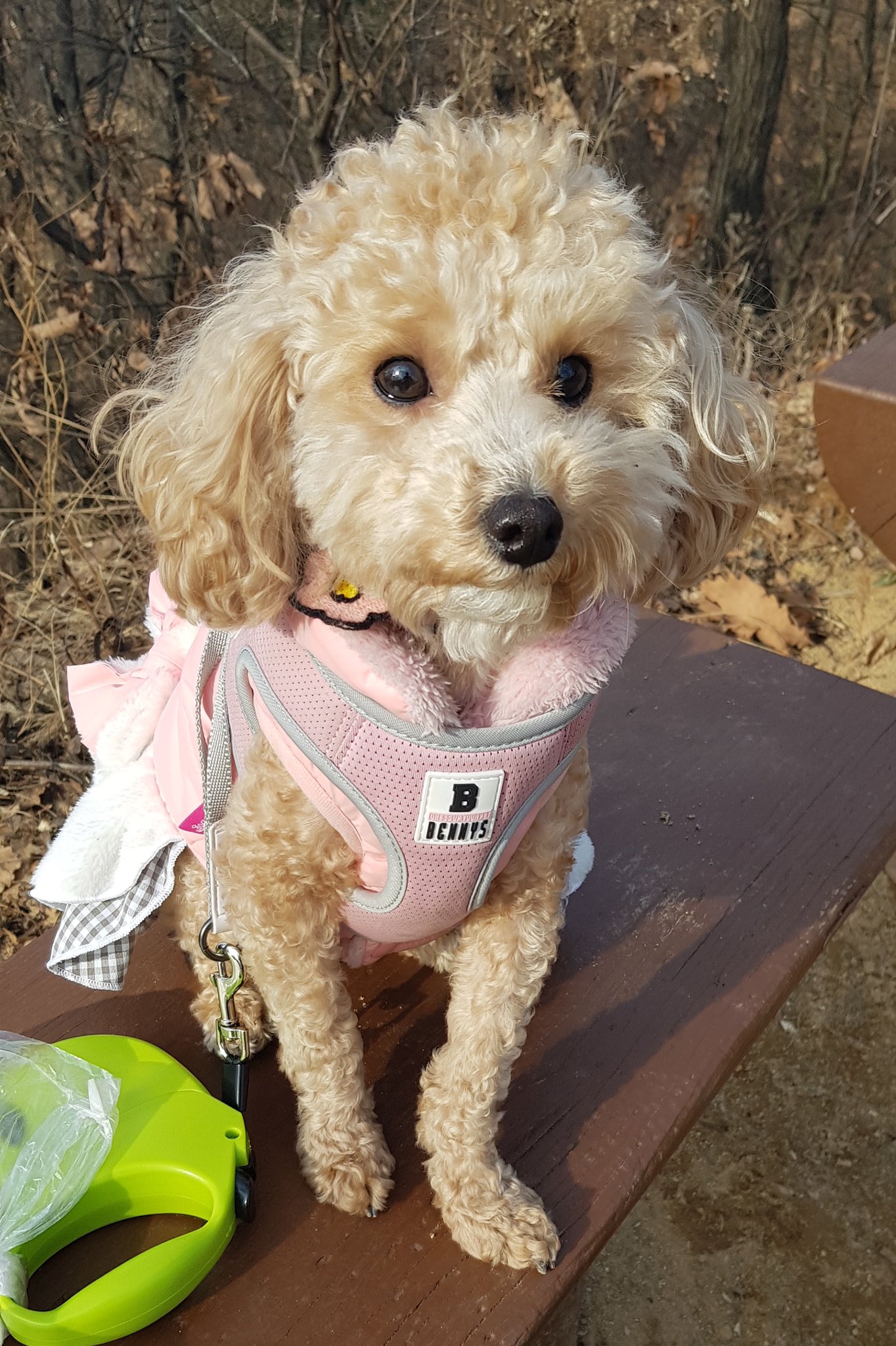 윤지성 공트 폭주중 | 인스티즈