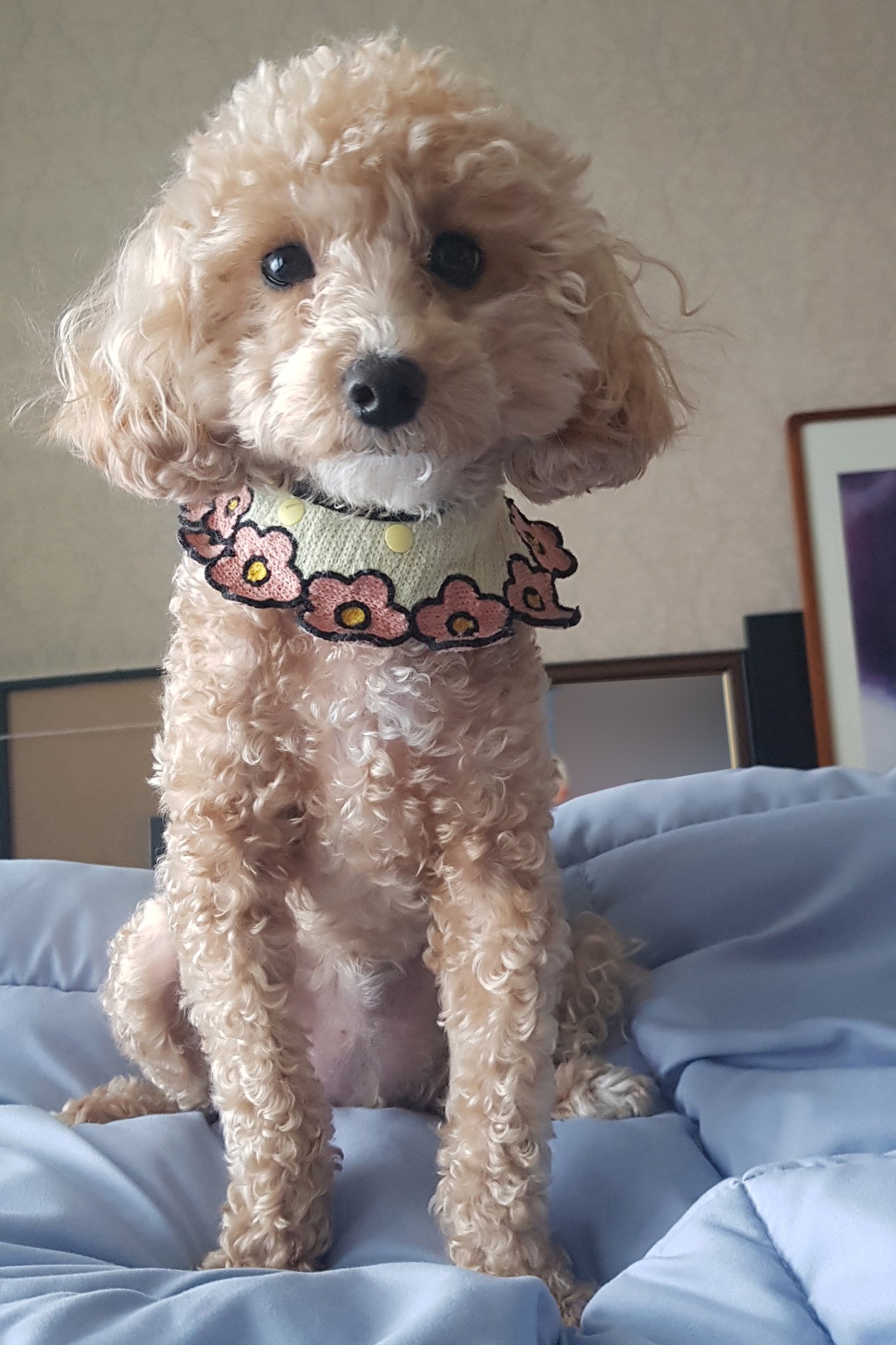 윤지성 공트 폭주중 | 인스티즈