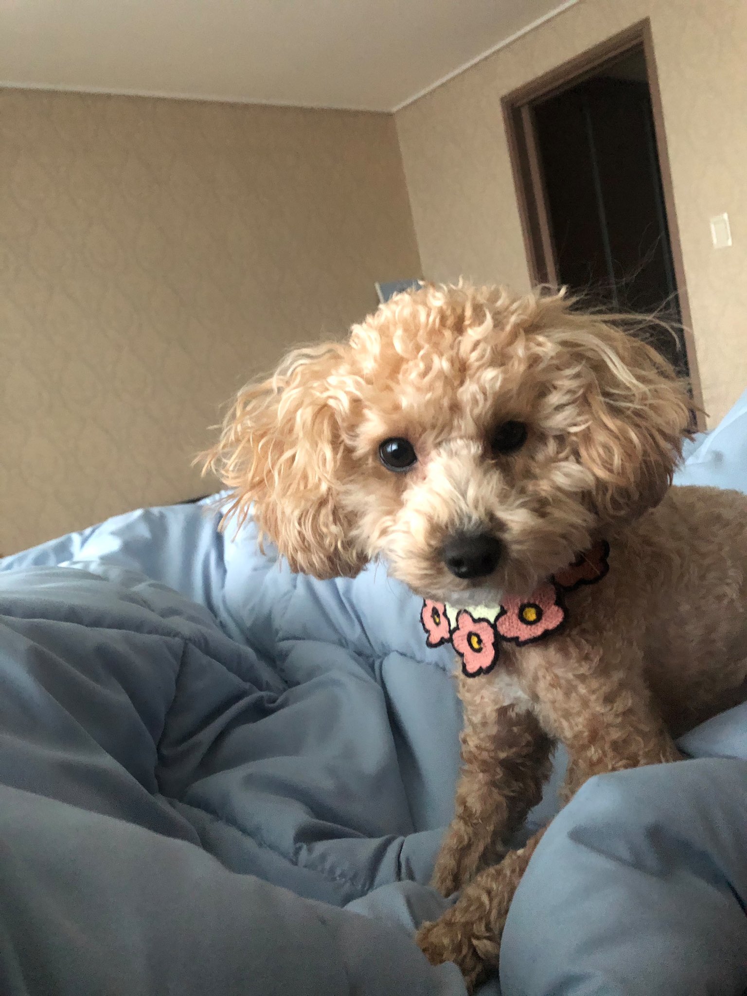 윤지성 공트 폭주중 | 인스티즈