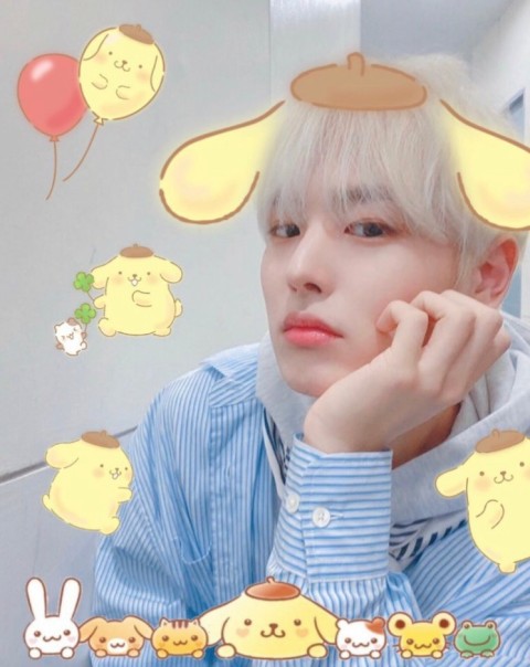 이걸 여기물어봐도 되나ㅠ 아이돌 사진이라 일단 여기 물어볼게ㅠㅠ | 인스티즈