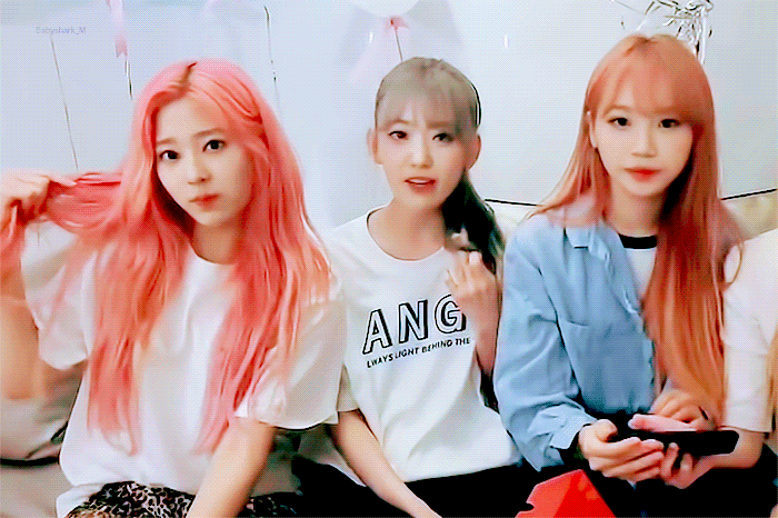 사쿠라가 미는 삼김즈 | 인스티즈