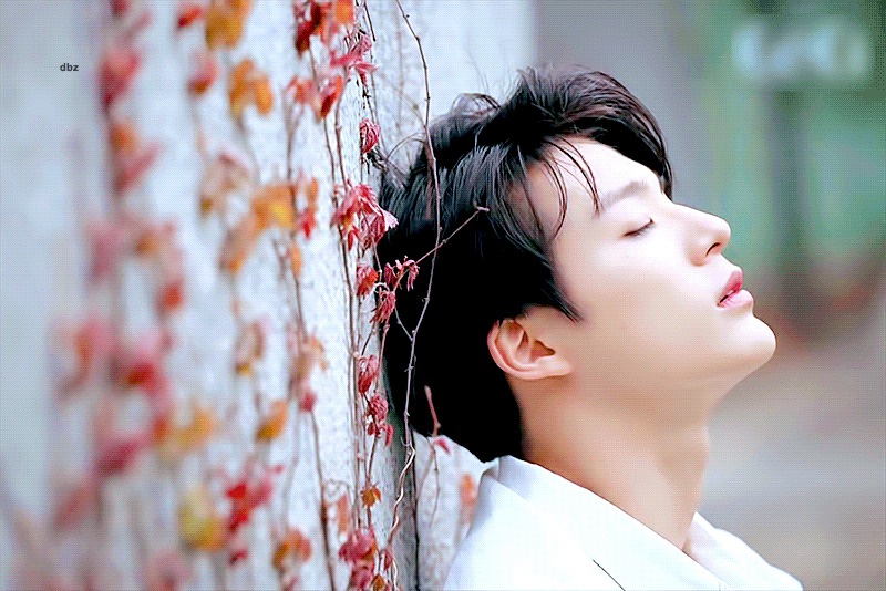 제노이거무슨영상인지심들이알려줬으면좋겠다 ...... | 인스티즈