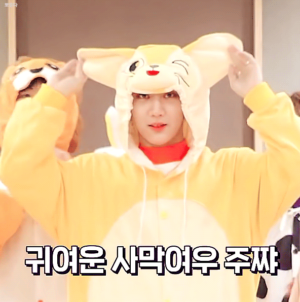 아무리 생각해도 홍주찬 본인이 강아지상이라고 생각한게.... | 인스티즈