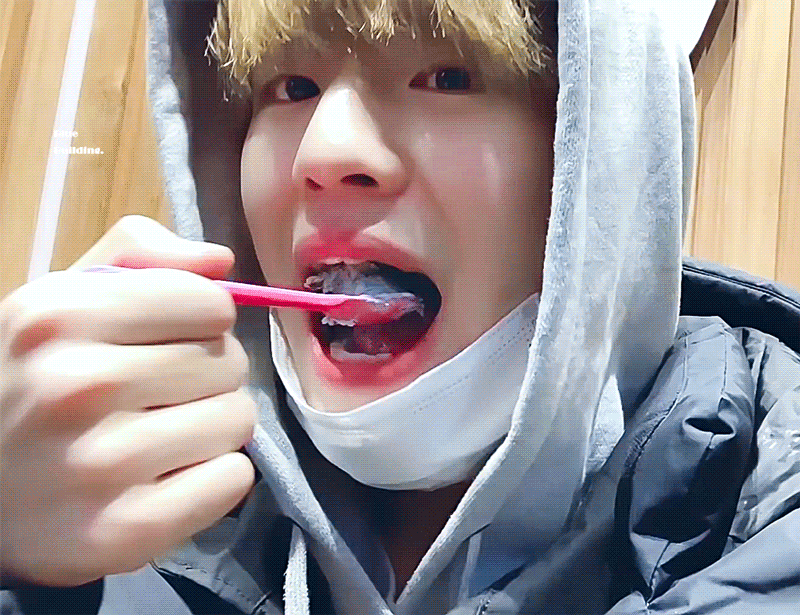 요즘은 강아지도 브이로그를 찍는구나 | 인스티즈