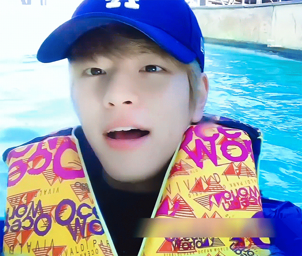 요즘은 강아지도 브이로그를 찍는구나 | 인스티즈