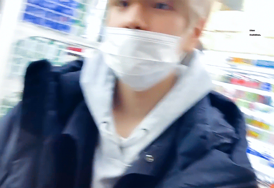 요즘은 강아지도 브이로그를 찍는구나 | 인스티즈