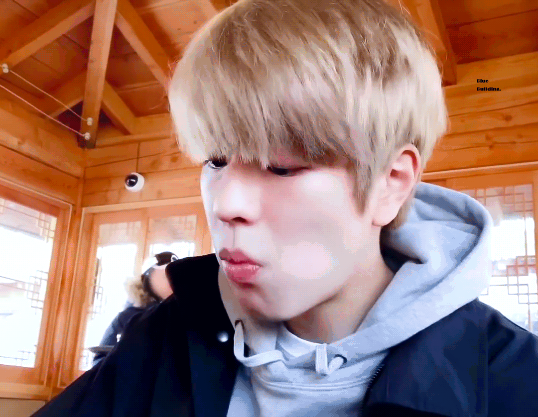 요즘은 강아지도 브이로그를 찍는구나 | 인스티즈