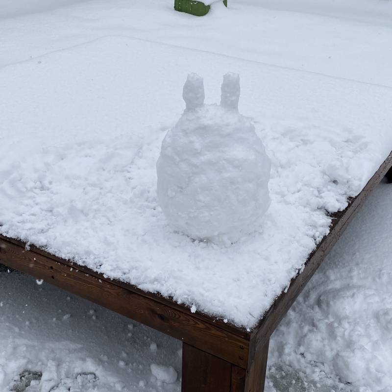 내가 만든 토토로 눈사람40404040!!(˃̶͈̀o˂̶͈́) | 인스티즈