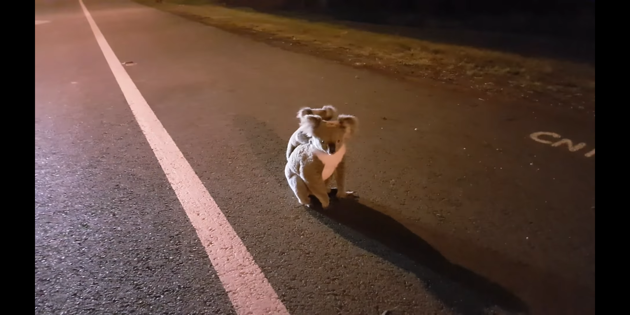 개인적으로 김요한 다른 멤버들이랑 있을 땐 뭔가 첫째미 뿜뿜인데 한승우랑만 있으면 동생미 쩔게 나오는거 .. 나 그거 좀 좋아함.. | 인스티즈