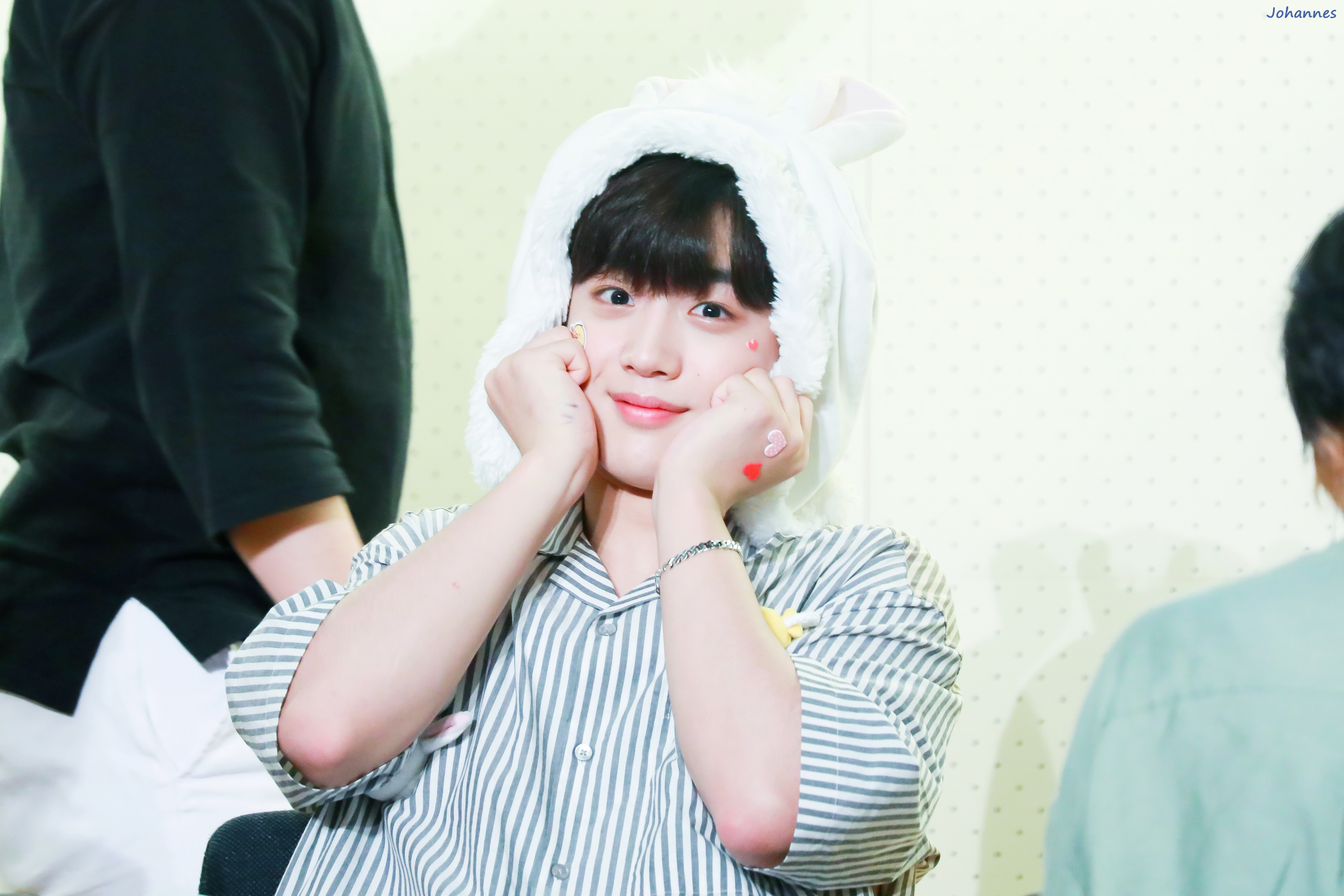 김요한 얼굴만 보면 소형견 말티 뿜뿜인데 | 인스티즈