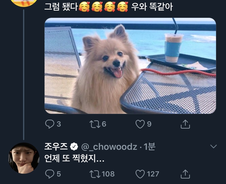 조승연 갱얼쥐단 다 들어와 | 인스티즈