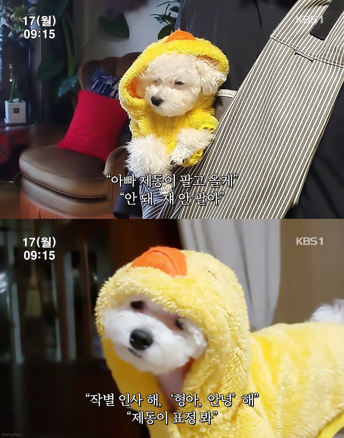 제형이 동생 제동이 | 인스티즈